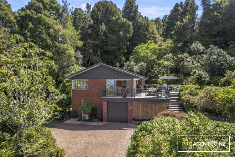 201 Woodlands Park Road Titirangi_26