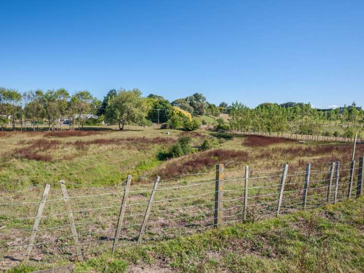 65 Grace Street Sanson_9