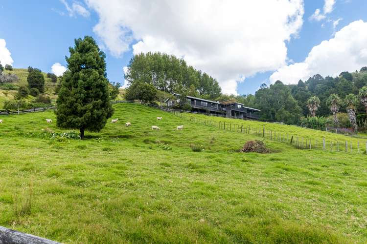 401 Wright Road Matakana_41