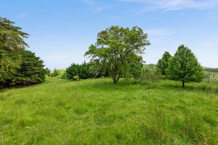 2069 Kahuranaki Road Elsthorpe_18