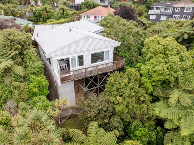 PEACE, PRIVACY & VIEWS IN CITY-END KARORI