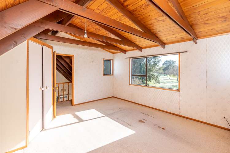 74b Kahikatea Drive Melville_17