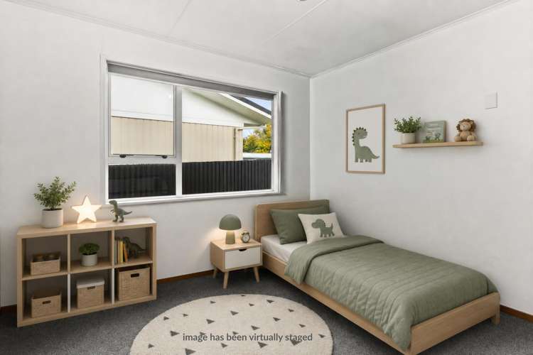 31 Plunket Street Tamatea_8