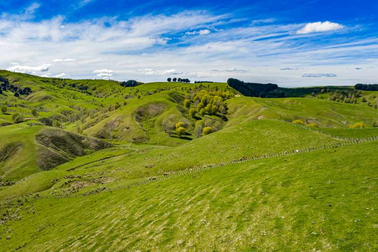 683 Bush Road Wallingford_34