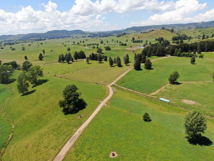 967 Ohura Road Aria_18