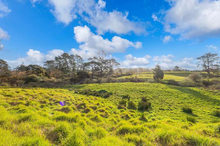 1373 Dairy Flat Highway Dairy Flat_19