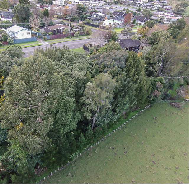 36 Elizabeth Street Waikanae_3