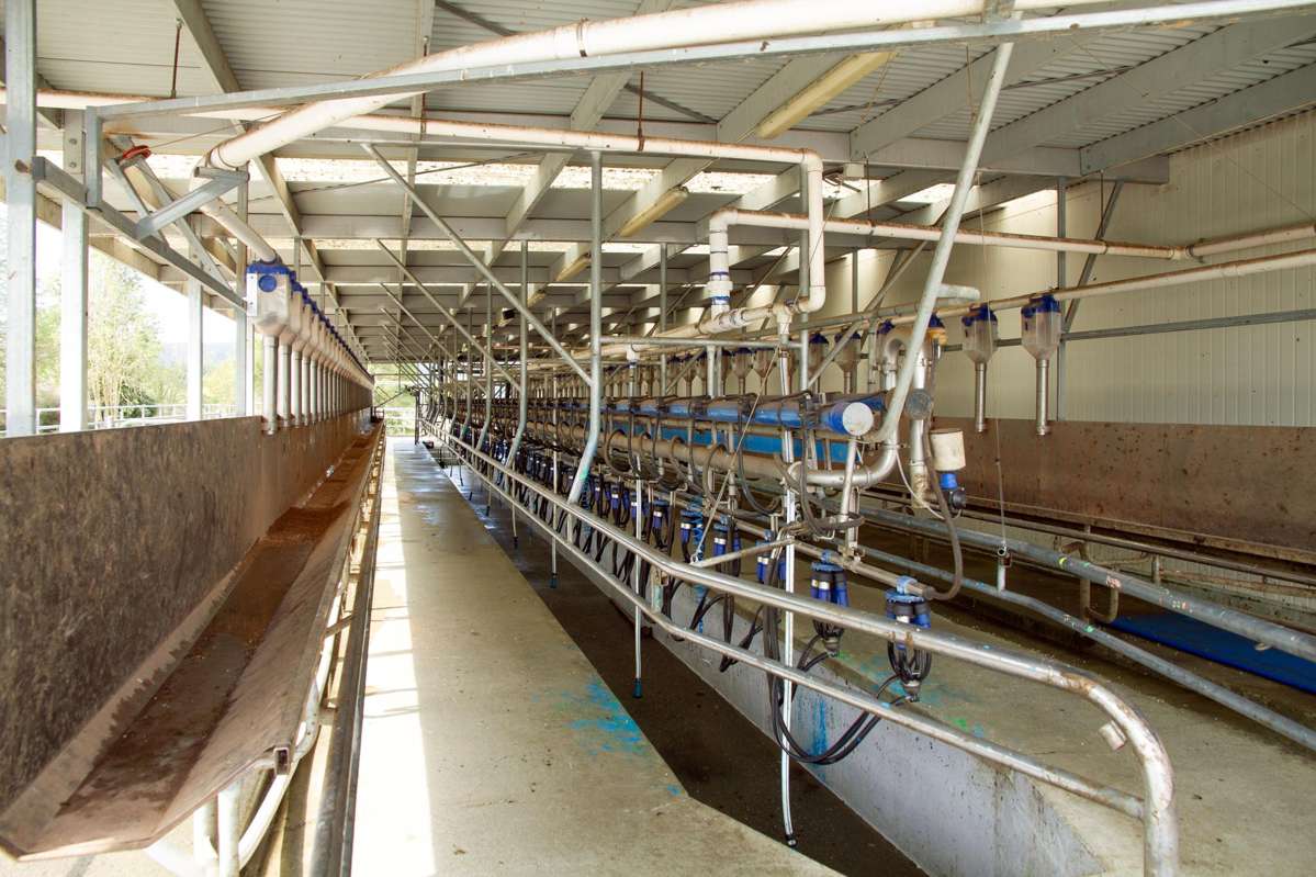 1932 Geraldine Fairlie Highway_1