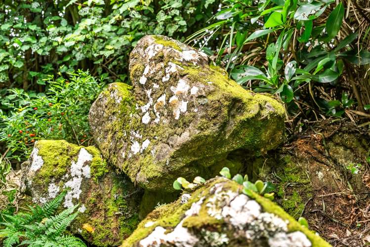 44 Brenda Gardner Way Maunu_24