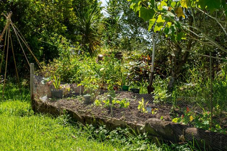 881 Whakapirau Road Whakapirau_25