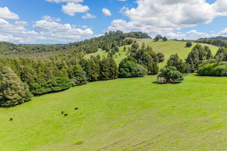 97e Hillcrest Road Kaikohe_12