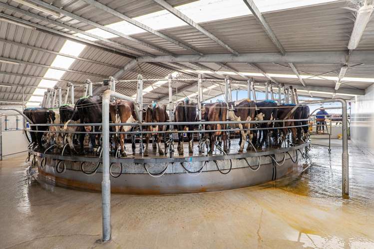 716 Mitchells Road Bankside_20