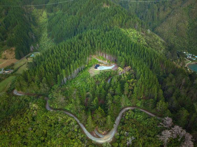 1892 Port Underwood Road Port Underwood_5