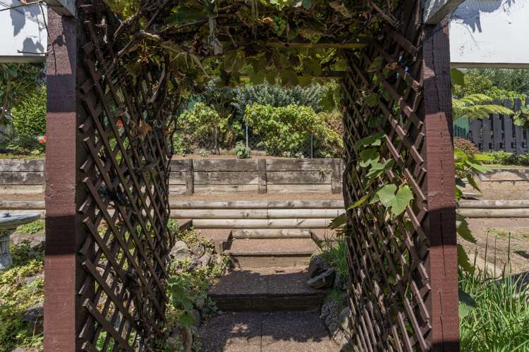 14 Pine Grove Tairua_44