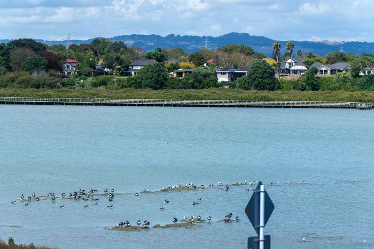 121 Waituarua Drive Conifer Grove_35