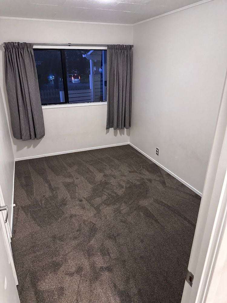 133 Finlayson Avenue Clendon Park_5