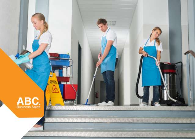 Flash Sale! Profitable Franchise Exterior Cleaning