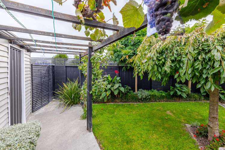 31 Fife Crescent Tamatea_24