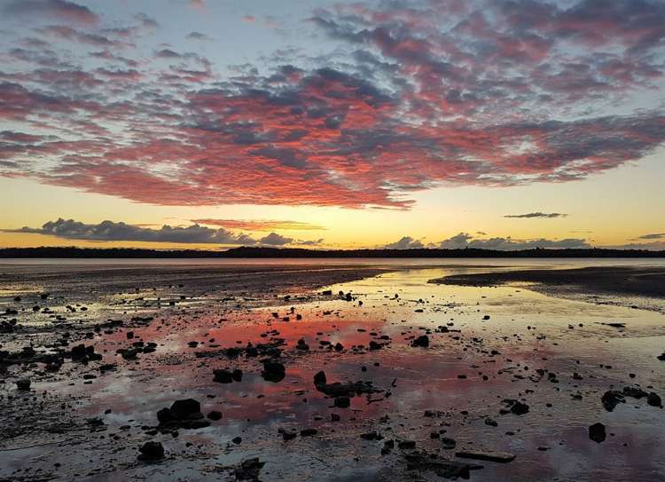 109 Pine Harbour Parade Beachlands_22