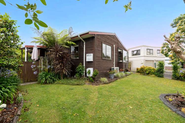 14 Camellia Place Hamilton Lake_9