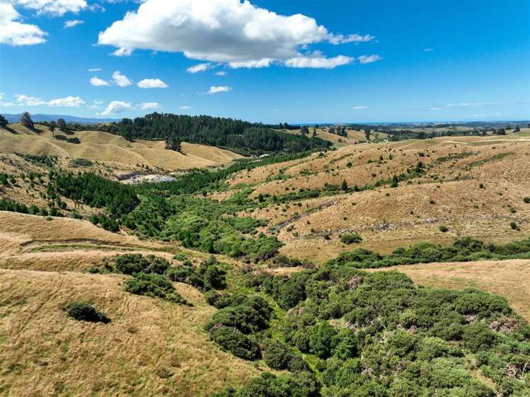 223 Rose Road Upper Moutere_11