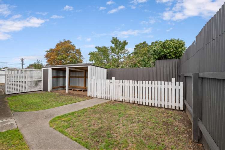 142A Weld Street Redwoodtown_15