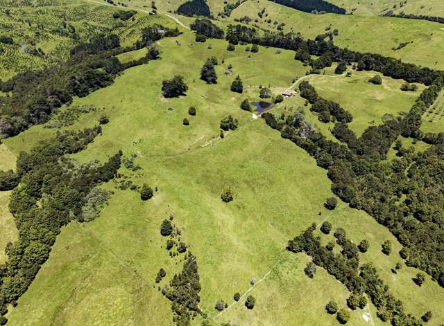 770 Fisher-Riley Road Kaingaroa_3