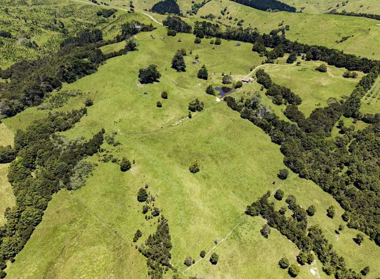 770 Fisher-Riley Road_3