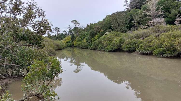 60 Te Pahi River Drive Paparoa_15