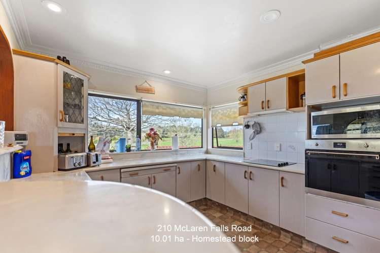 210 McLaren Falls Road_3