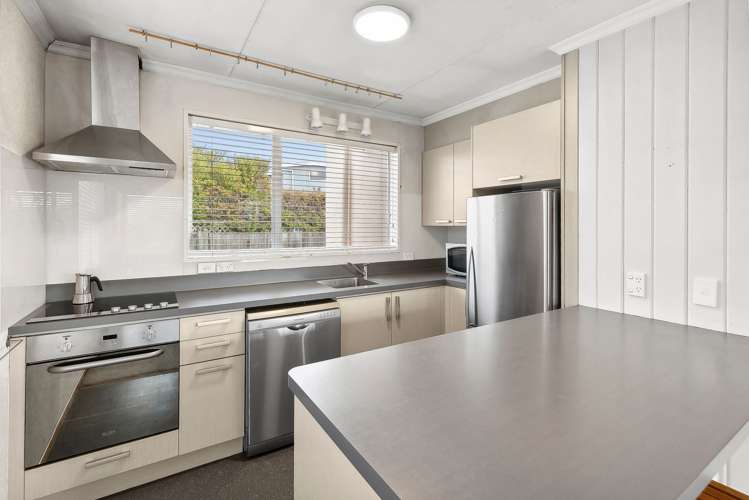 60 Totara Terrace Wanaka_10