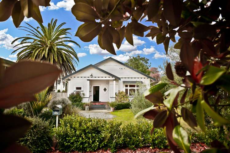 6 Union Street Claudelands_1