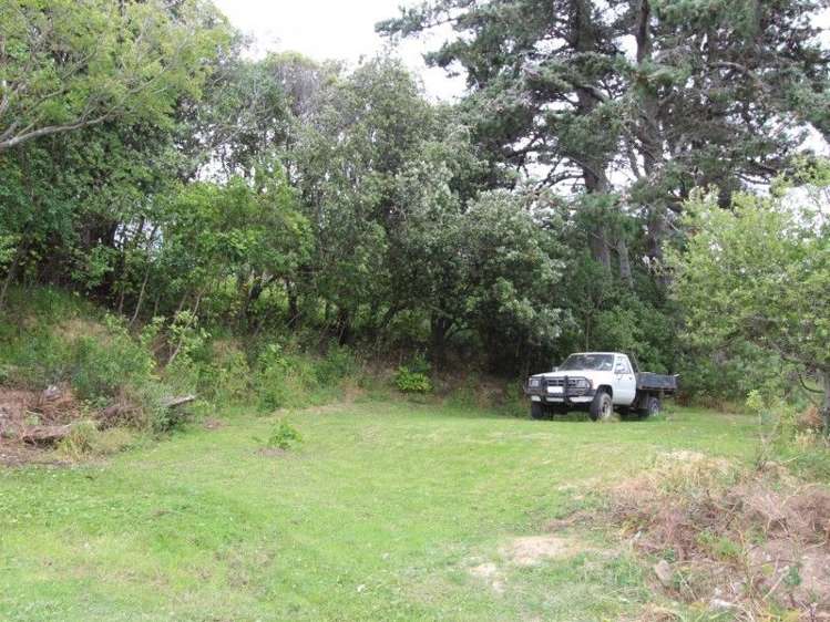 220 Sievers Grove Cannons Creek_16