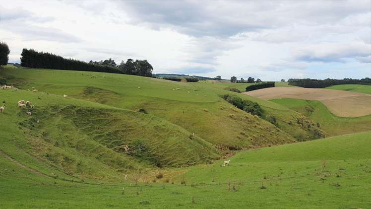 161 Roulston Road Balclutha_16