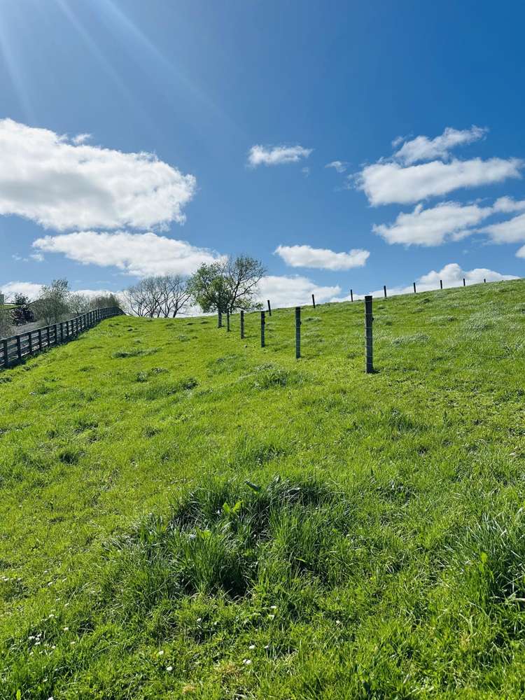 78B Falls Road Te Kauwhata_16