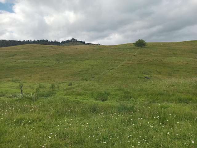 Lot 1-3/36 Te Moho Road Taipa_2