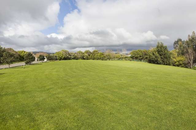 61 Polson Hill Drive Aokautere_4