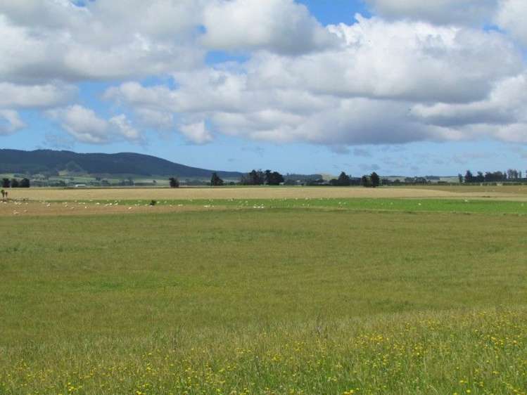 734 Crichton Road Milton_27