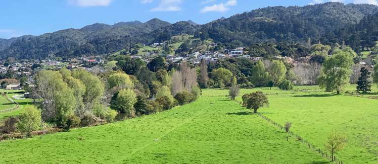 90 Maramarahi Road Thames_10