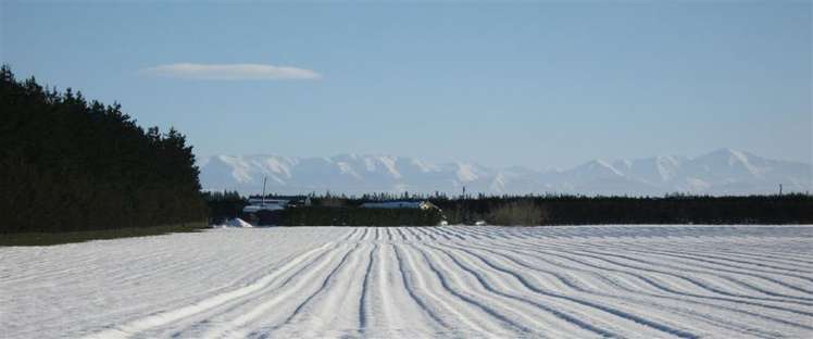 226 College Road Bankside_10