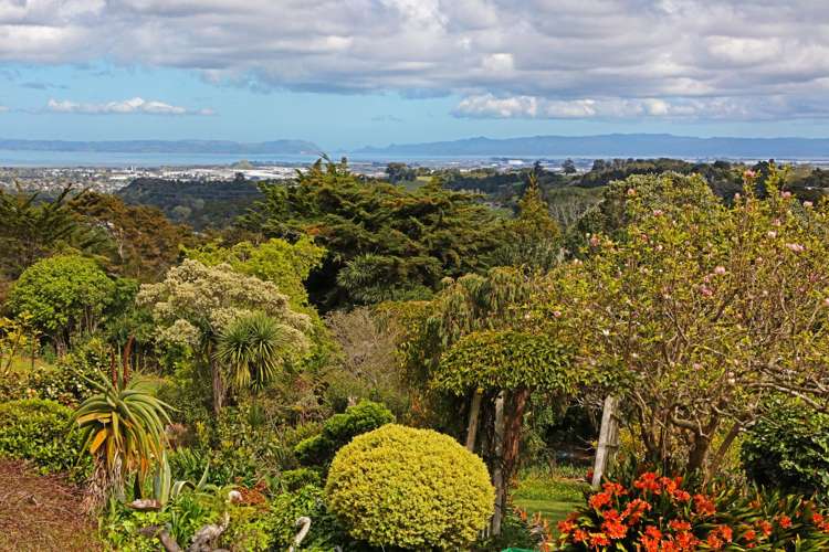 471 Redoubt Road Totara Park_38