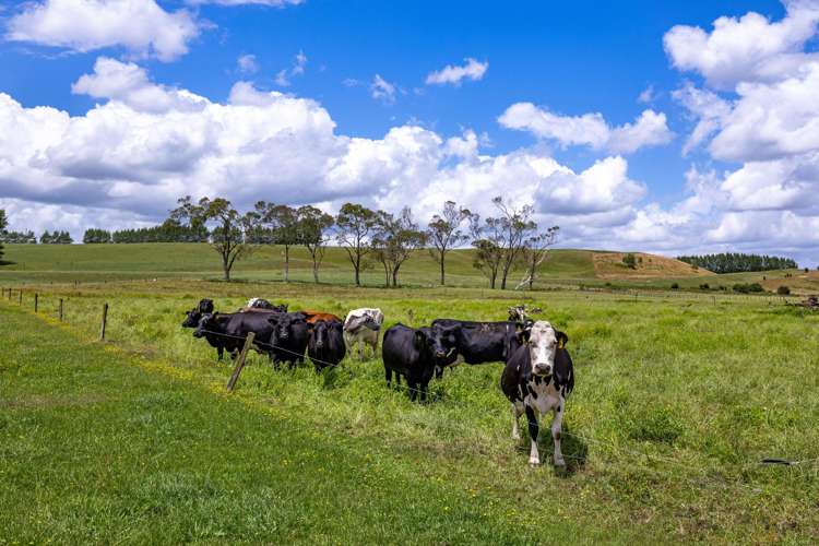 Bankier Road Horsham Downs_22