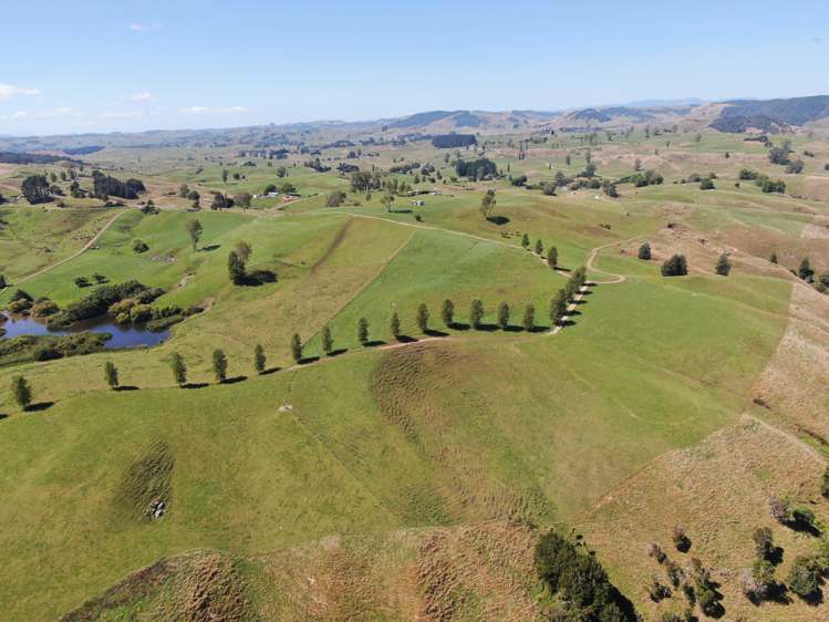 Paekaka Road Piopio_19