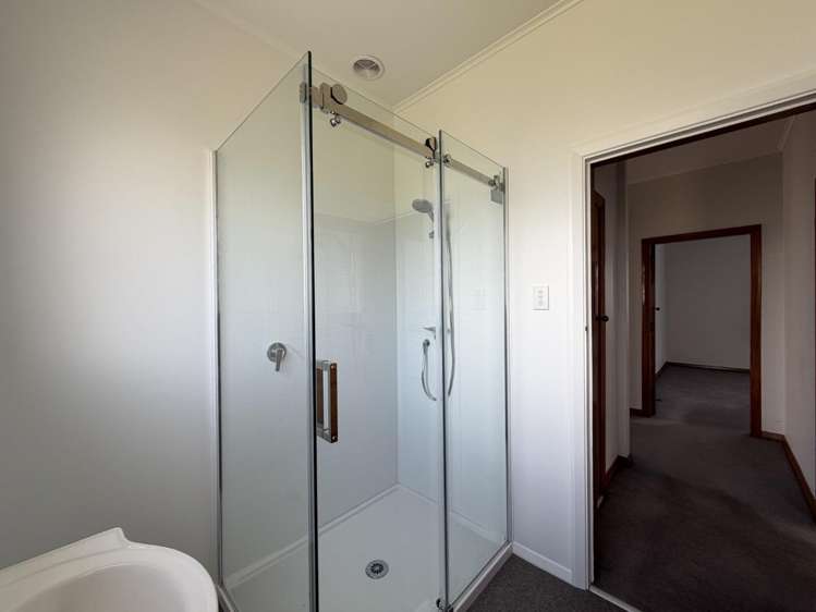 17A Millward Street 1236_15