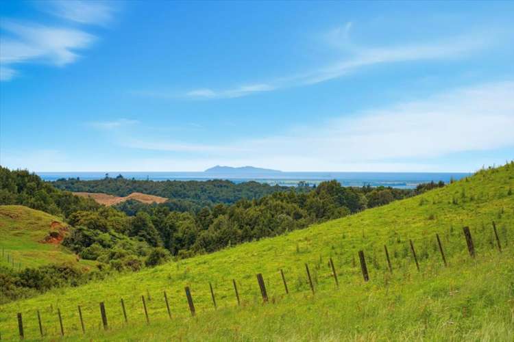 938c Whakamarama Road Whakamarama_5