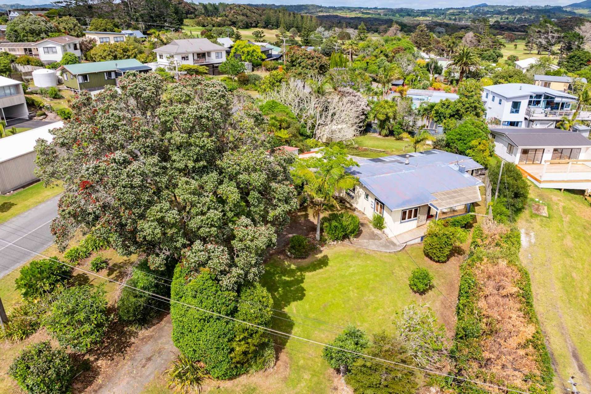 12 Ellen Street Mangawhai Heads_0