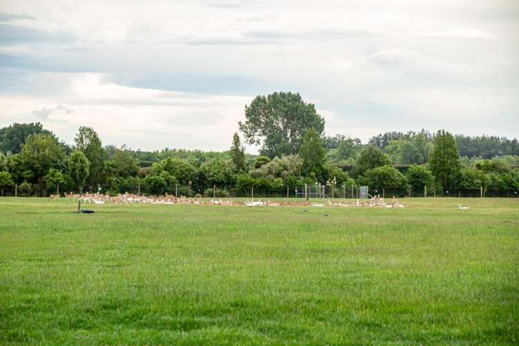 18 Meadowlinks Lane Pleasant Point_13