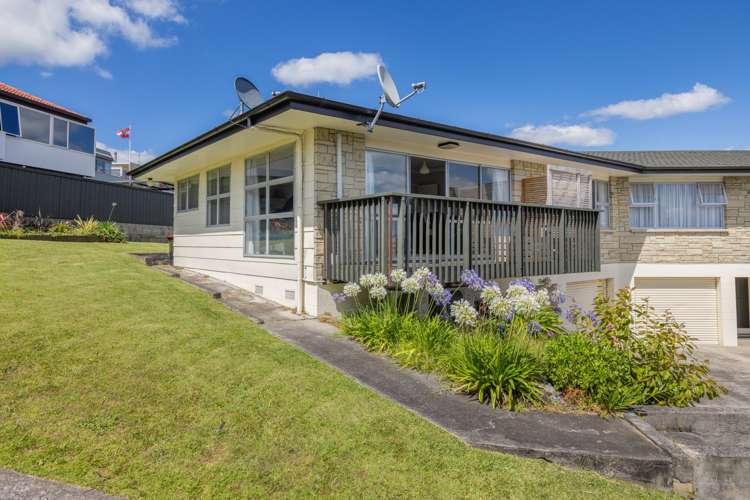 349 Maungatapu Road Maungatapu_14