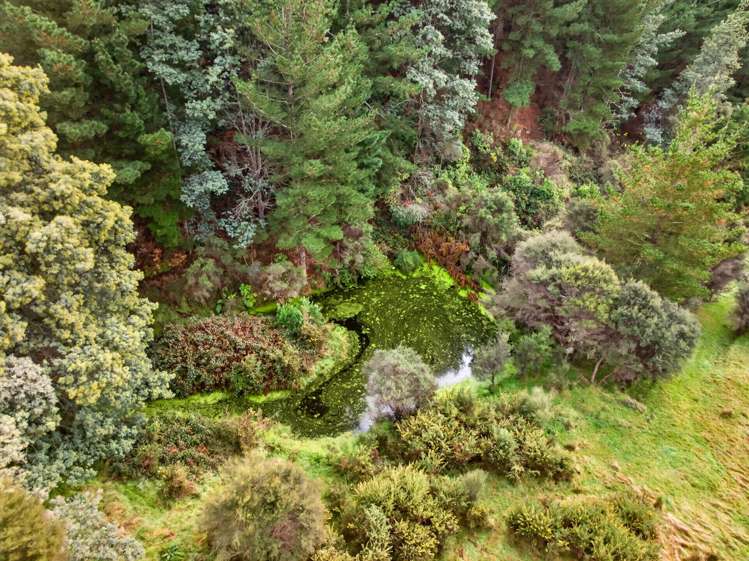 157 Mangarei Road Masterton_28
