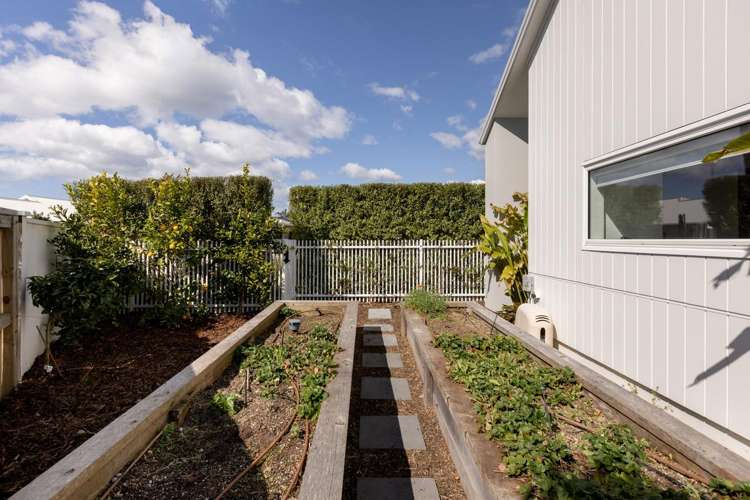 30 Colpoma Close Papamoa_17